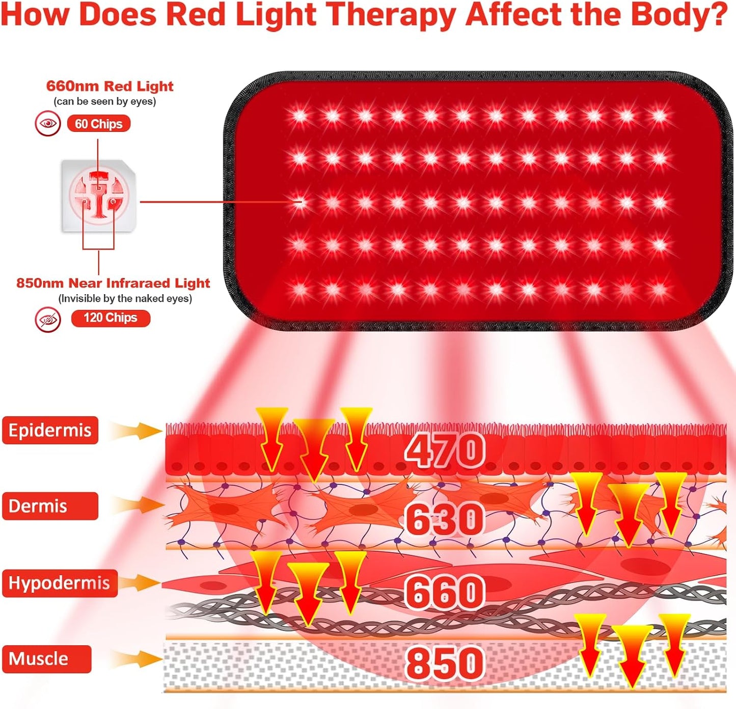 Red Light Therapy Belt – Infrared Wrap for Back & Muscle Comfort
